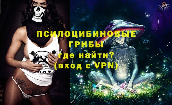 гашик Пролетарск