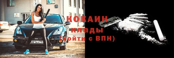эйфоретик Богданович