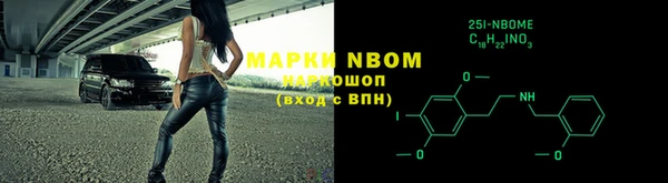 стаф Беломорск